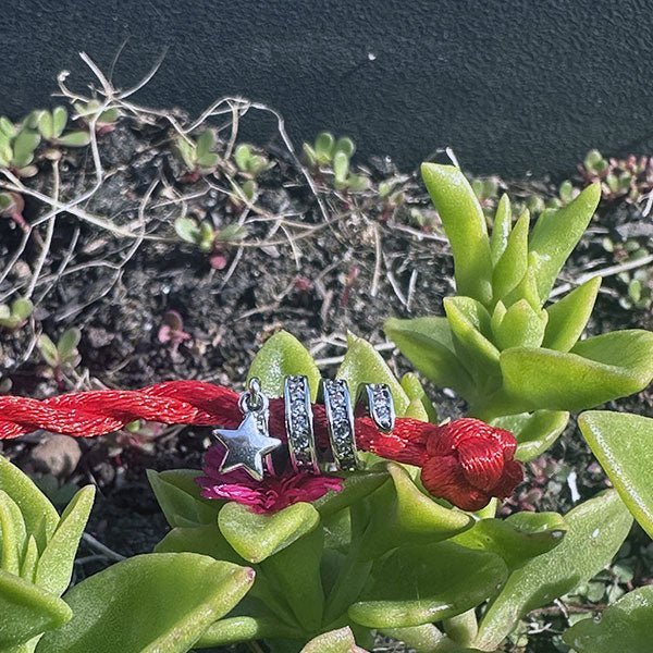 Ti regalo una STELLA - italy shopping